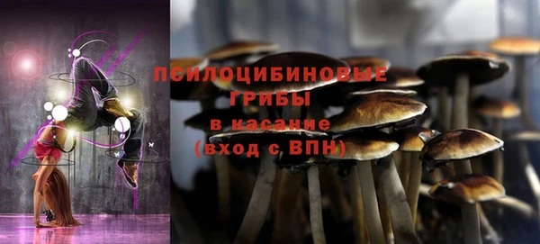 дживик Надым