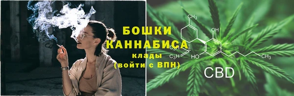 дживик Надым
